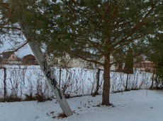 ГП16923720.Земельный участок.Общий вид объекта.jpg