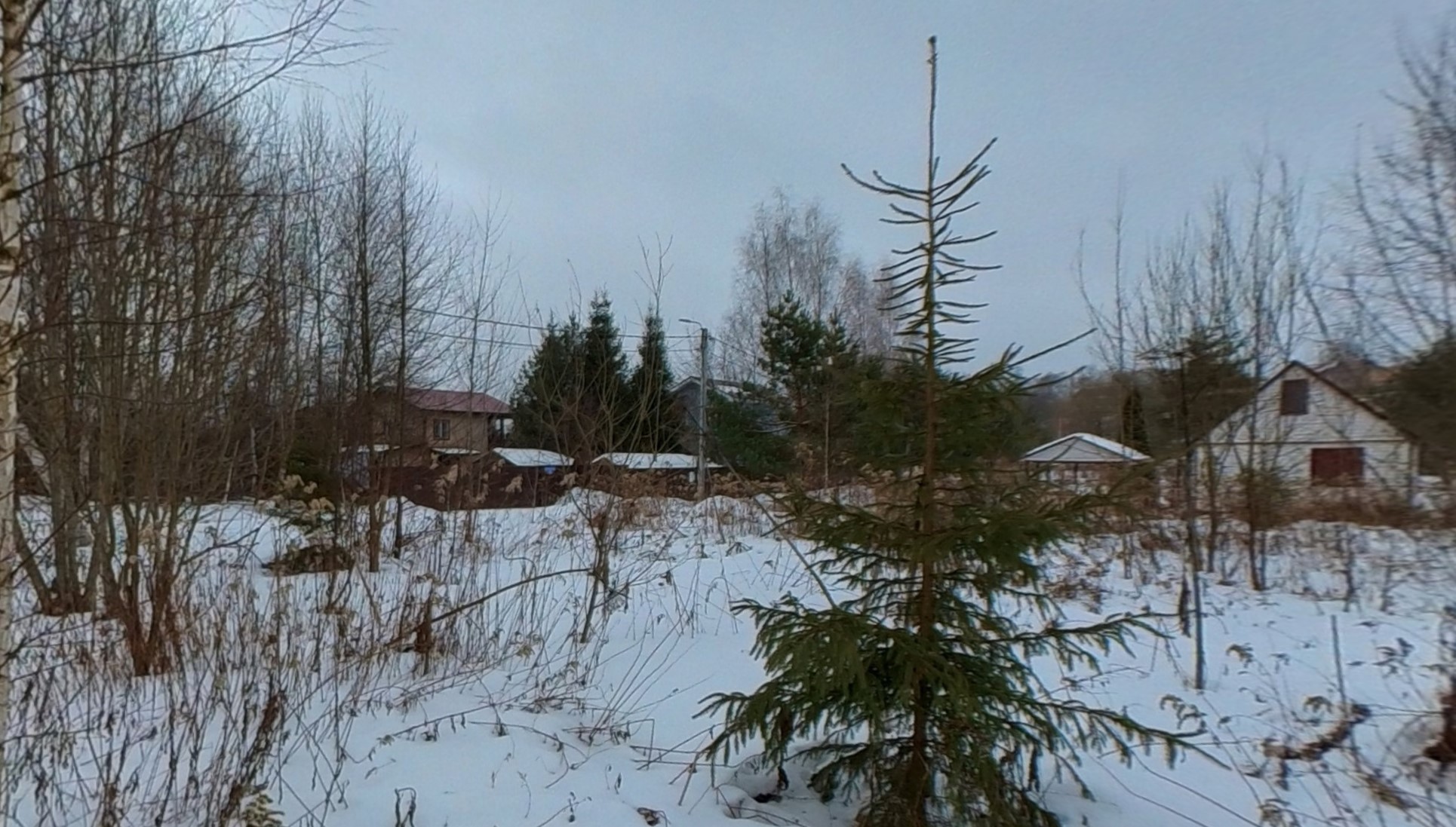 ГП16923720.Земельный участок.Общий вид объекта_6.jpg