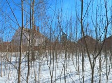 ГП16923974.Земельный участок.Общий вид объекта_9.jpg