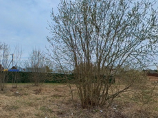 ГП16916629.Земельный участок.Общий вид объекта_6.jpg