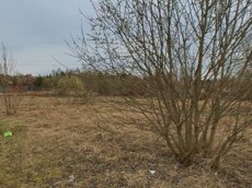 ГП16916629.Земельный участок.Общий вид объекта_4.jpg