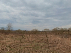 ГП16928452.Земельный участок.Общий вид объекта_8.jpg