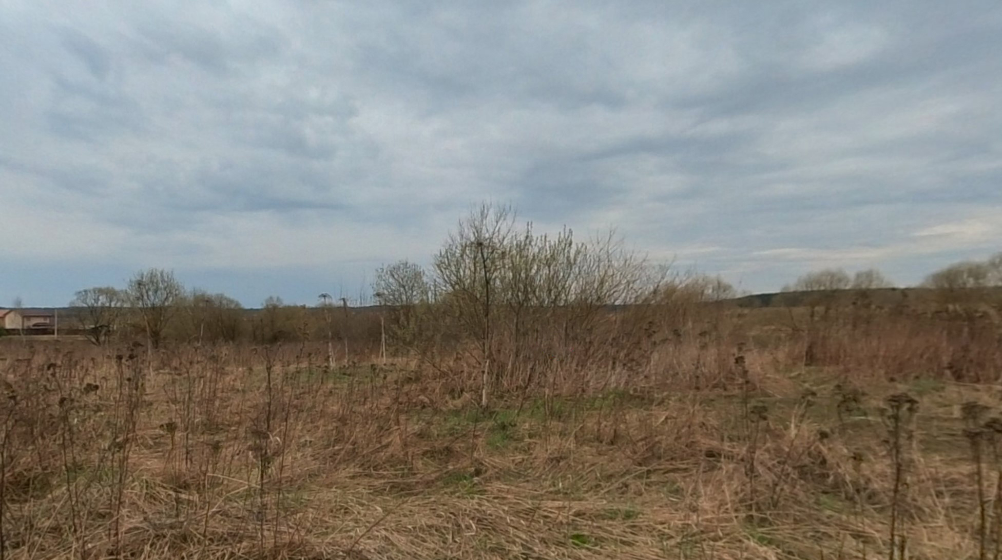 ГП16928452.Земельный участок.Общий вид объекта_2.jpg