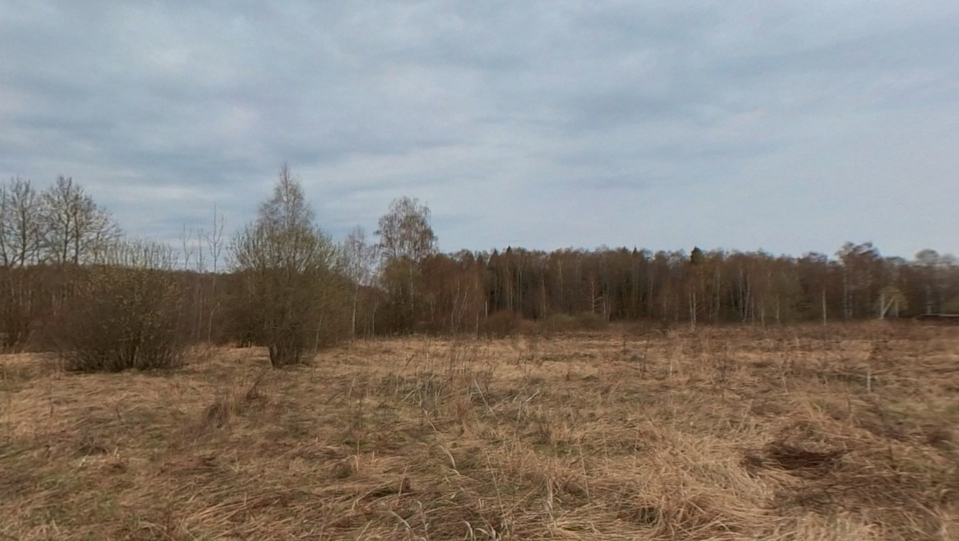 ГП16928451.Земельный участок.Общий вид объекта.jpg