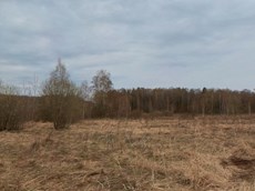 ГП16928451.Земельный участок.Общий вид объекта.jpg