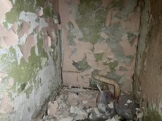 ГП16868279.Здание.Помещения, входящие в состав реализуемого объекта_72.jpg