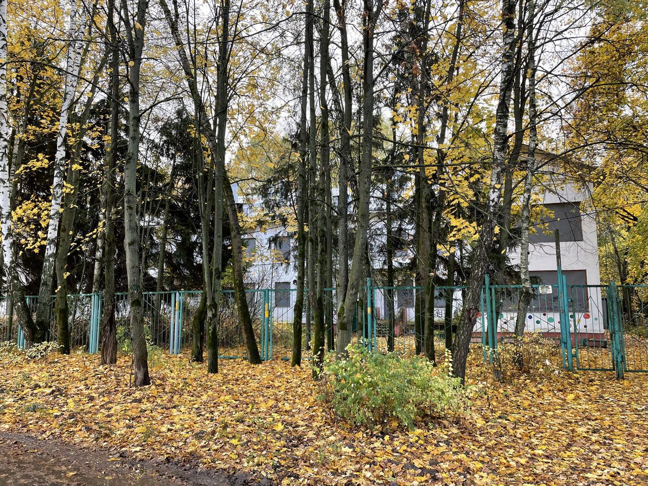 ГП16868279.Здание.Общий фасад здания.jpg