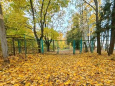 ГП16868279.Здание.Подъездные пути.jpg