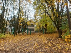 ГП16868279.Здание.Подъездные пути_2.jpg