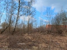 ГП16927608.Земельный участок.Общий вид объекта_6.jpg