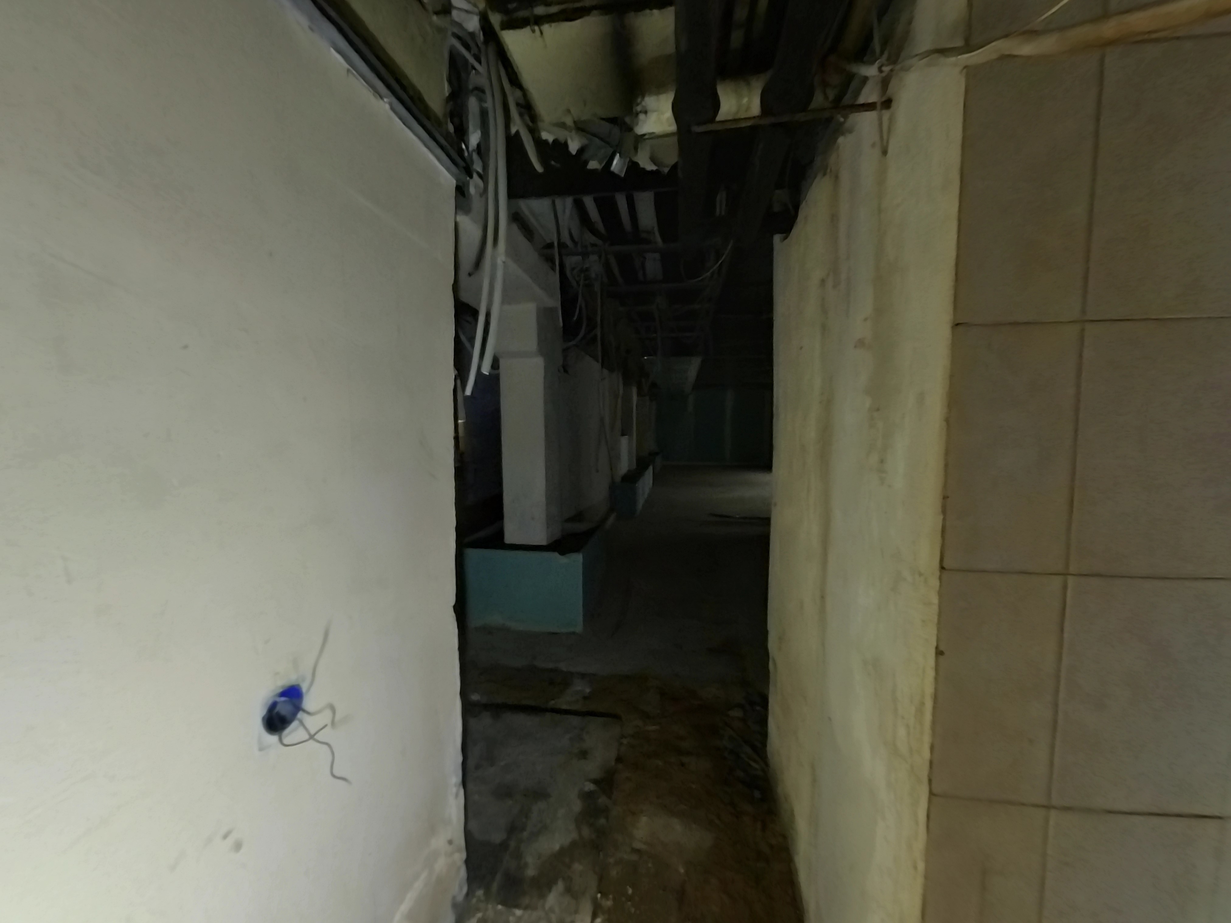 ГП16926942.Нежилое помещение.Каждое помещение_комната, входящее в состав реализуемого объекта _7.jpg