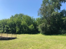 ГП16933446.Земельный участок.Общий вид объекта_2.jpg