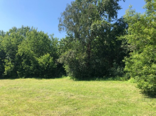 ГП16933446.Земельный участок.Общий вид объекта_3.jpg