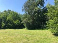 ГП16933446.Земельный участок.Общий вид объекта_3.jpg