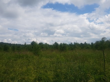 ГП16933450.Земельный участок.Общий вид объекта_2.jpg