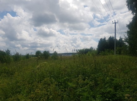 ГП16933450.Земельный участок.Общий вид объекта_3.jpg