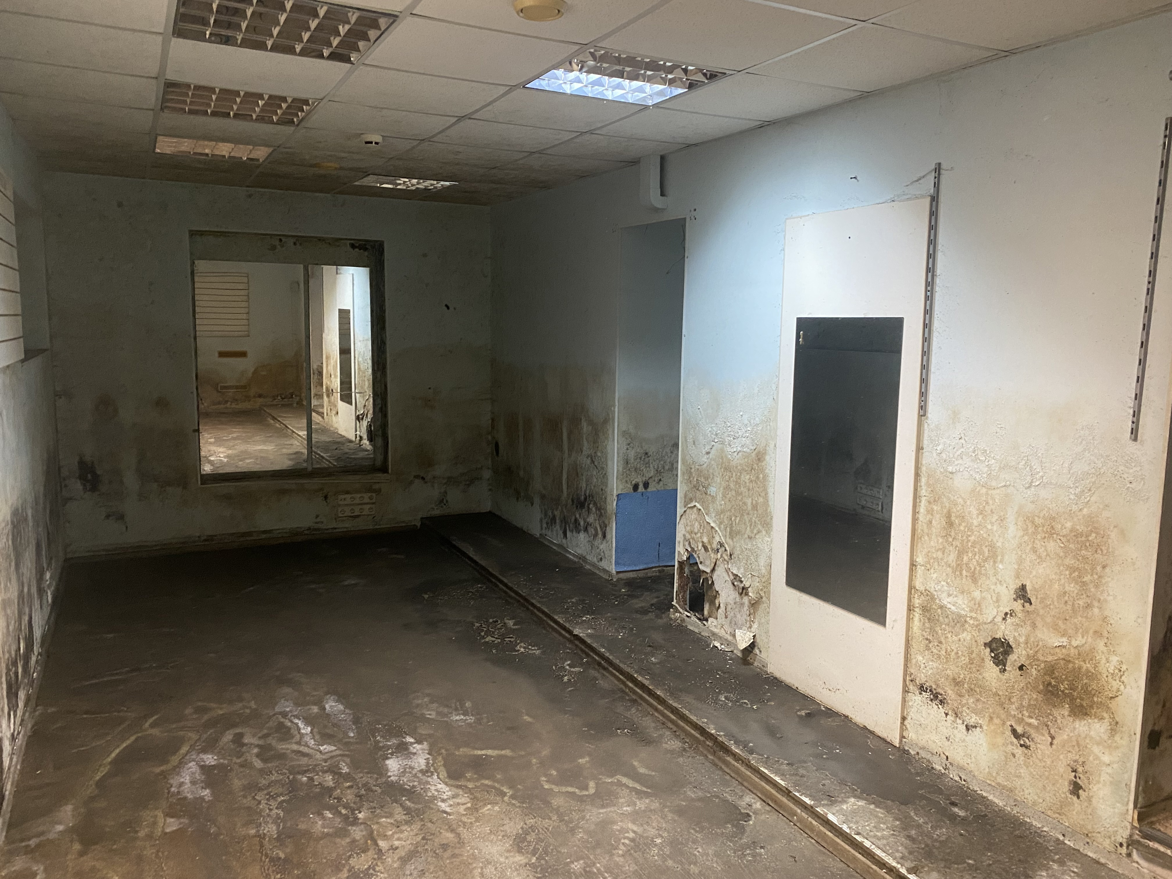 ГП16937277.Нежилое помещение.Каждое помещение_комната, входящее в состав реализуемого объекта _3.jpg