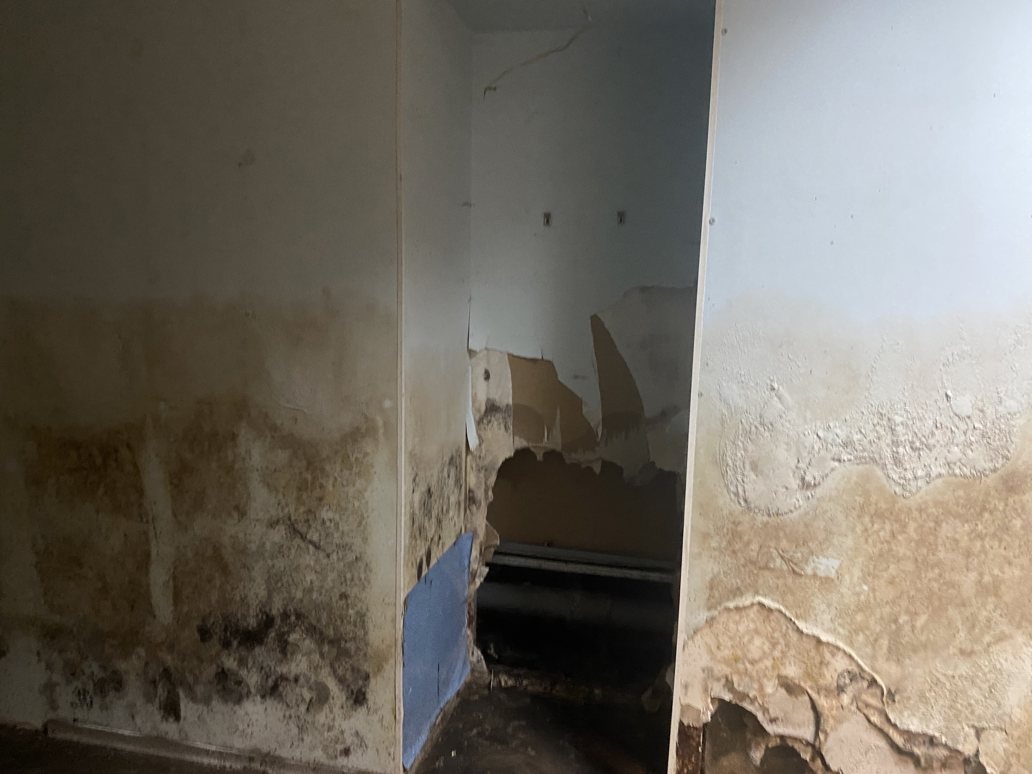 ГП16937277.Нежилое помещение.Каждое помещение_комната, входящее в состав реализуемого объекта _4.jpg