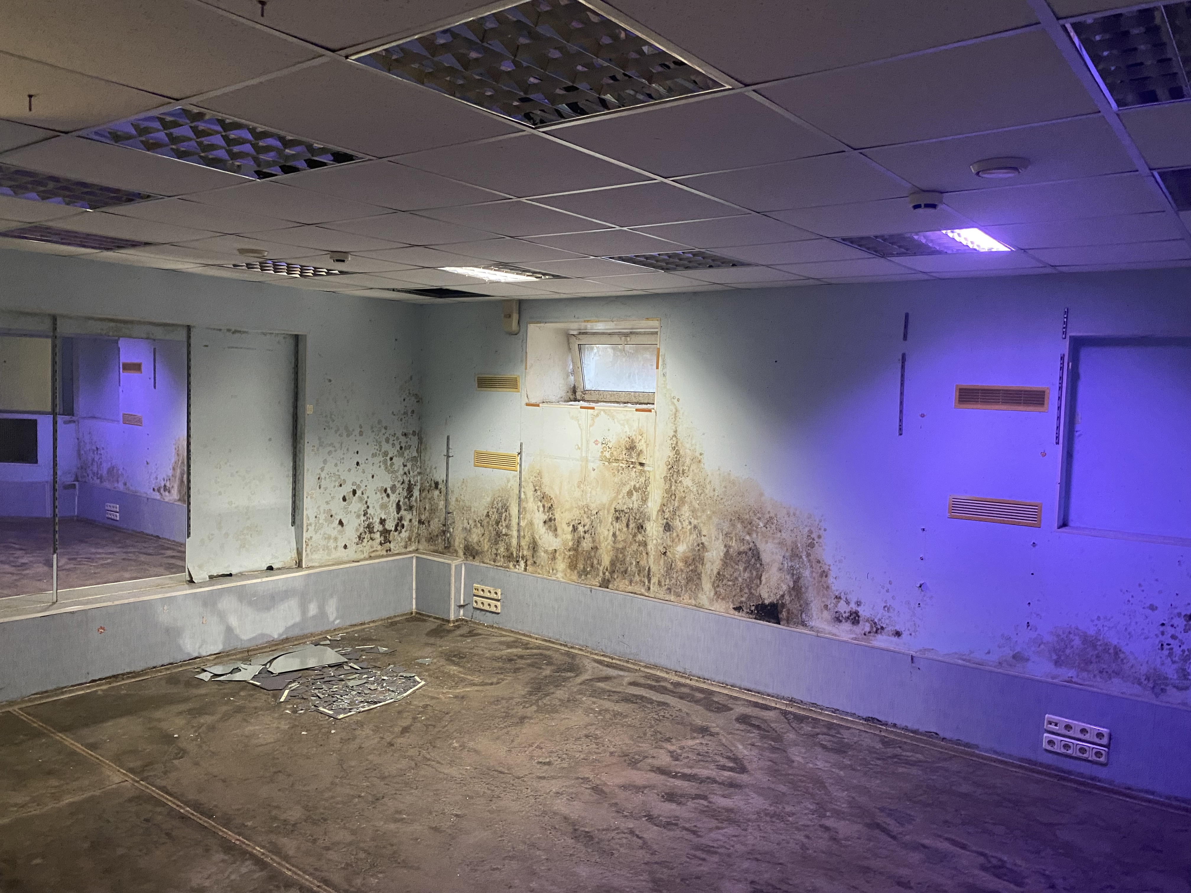 ГП16937277.Нежилое помещение.Каждое помещение_комната, входящее в состав реализуемого объекта _5.jpg