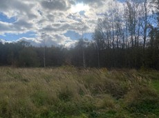 ГП16938444.Земельный участок.Общий вид объекта.JPG