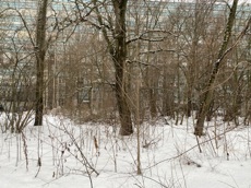ГП16942075.Земельный участок.Общий вид объекта_3.jpeg
