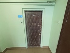 ГП16950269.Квартира.Входная группа объекта_2.jpg