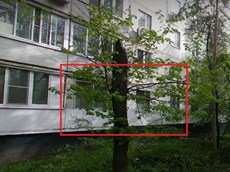 ГП16950476.Квартира.Фасад здания с выделенными окнами реализуемого объекта.jpg