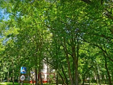 ГП16950454.Квартира.Фасад здания с выделенными окнами реализуемого объекта_2.jpg
