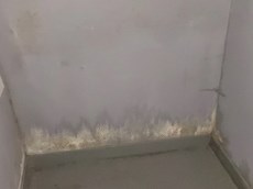 Нежилое помещение.Каждое помещение_комната, входящее в состав реализуемого объекта .г.Москва, ул.Земляной Вал, д.14-16, стр.1 - Подвал _ 0 Подвал _ 0_55.jpg