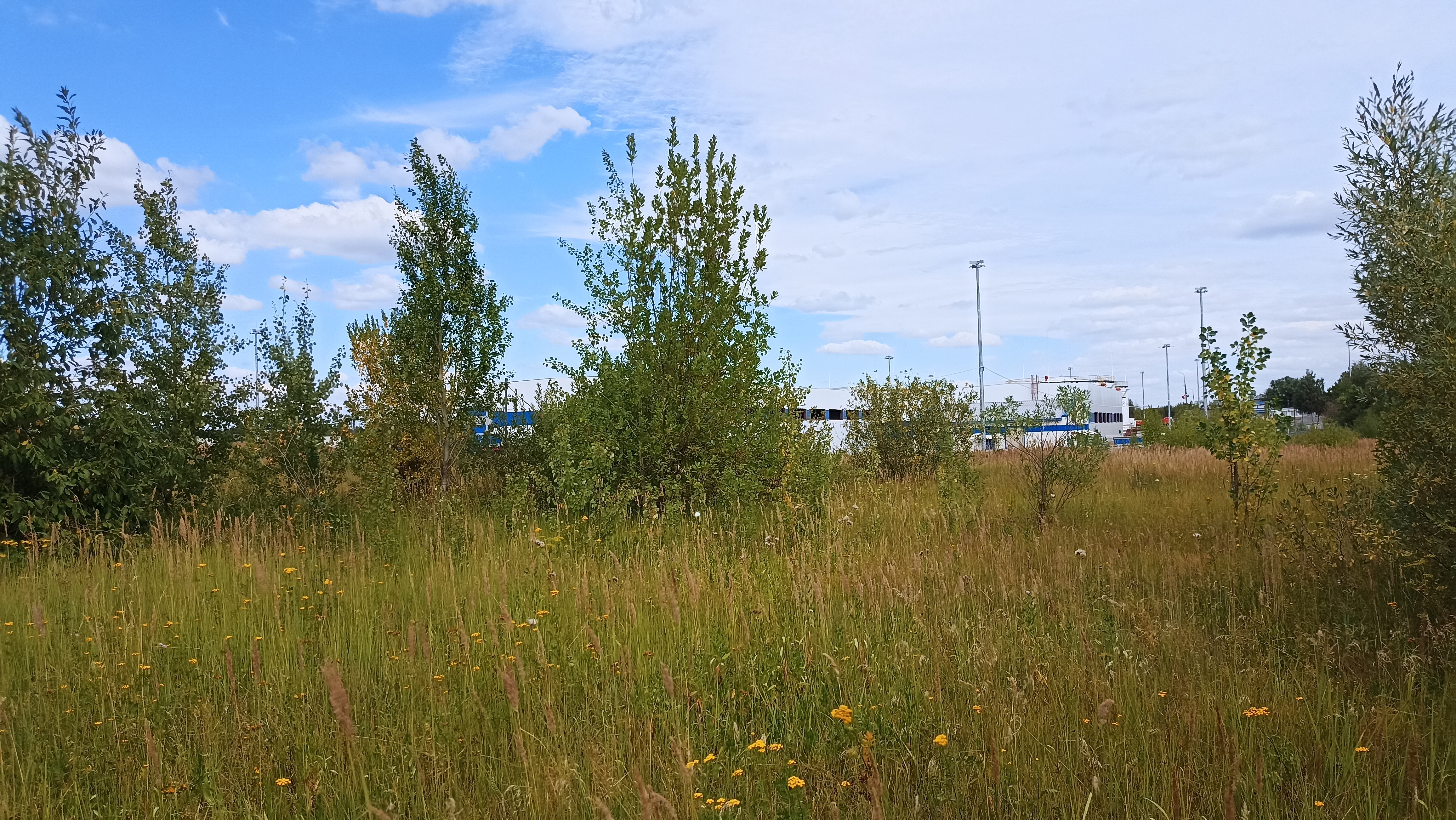 Земельный участок.Общий вид объекта.г. Москва, Внуковское шоссе, коммунальная зона_3.jpg