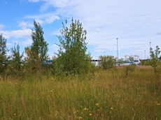 Земельный участок.Общий вид объекта.г. Москва, Внуковское шоссе, коммунальная зона_3.jpg