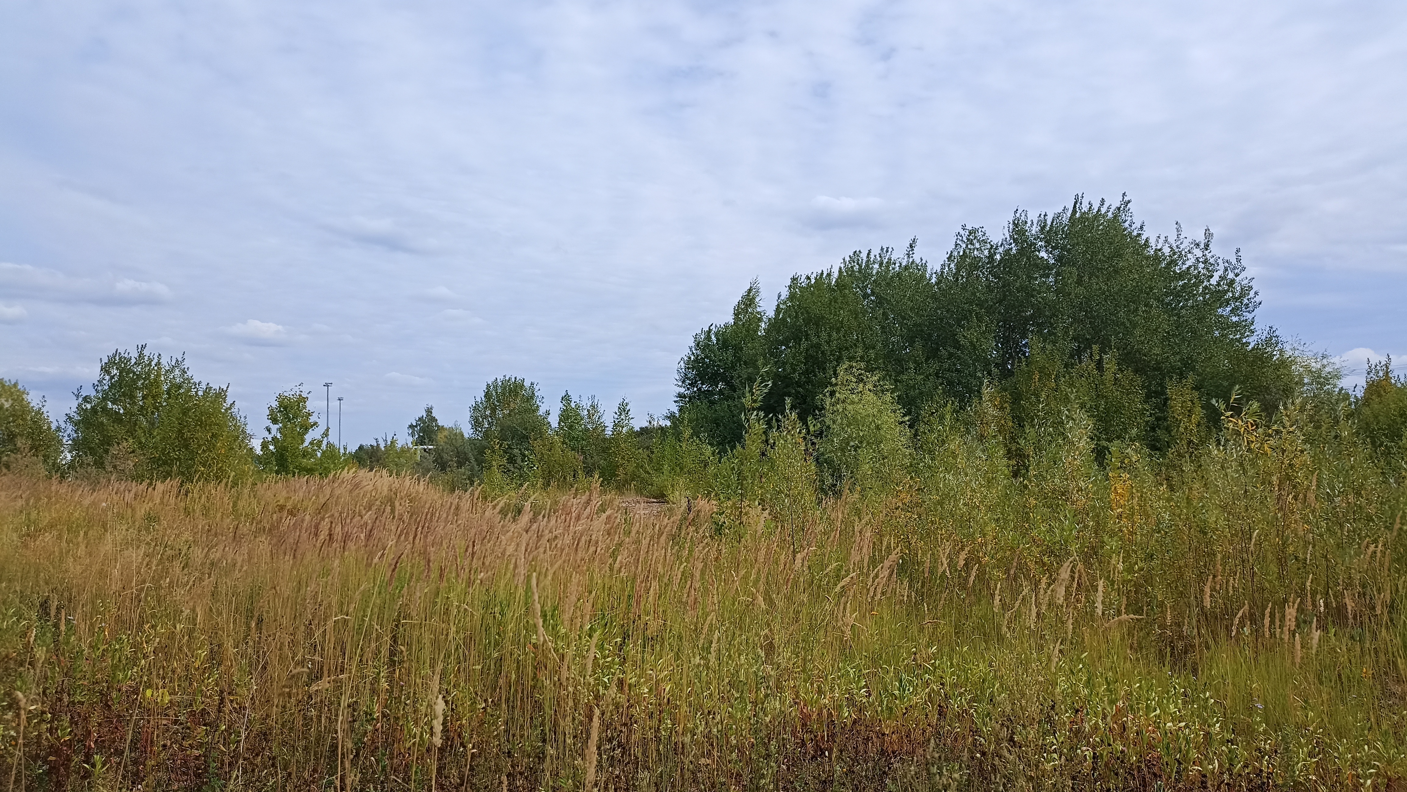 Земельный участок.Общий вид объекта.г. Москва, Внуковское шоссе, коммунальная зона_10.jpg