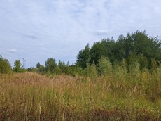 Земельный участок.Общий вид объекта.г. Москва, Внуковское шоссе, коммунальная зона_10.jpg