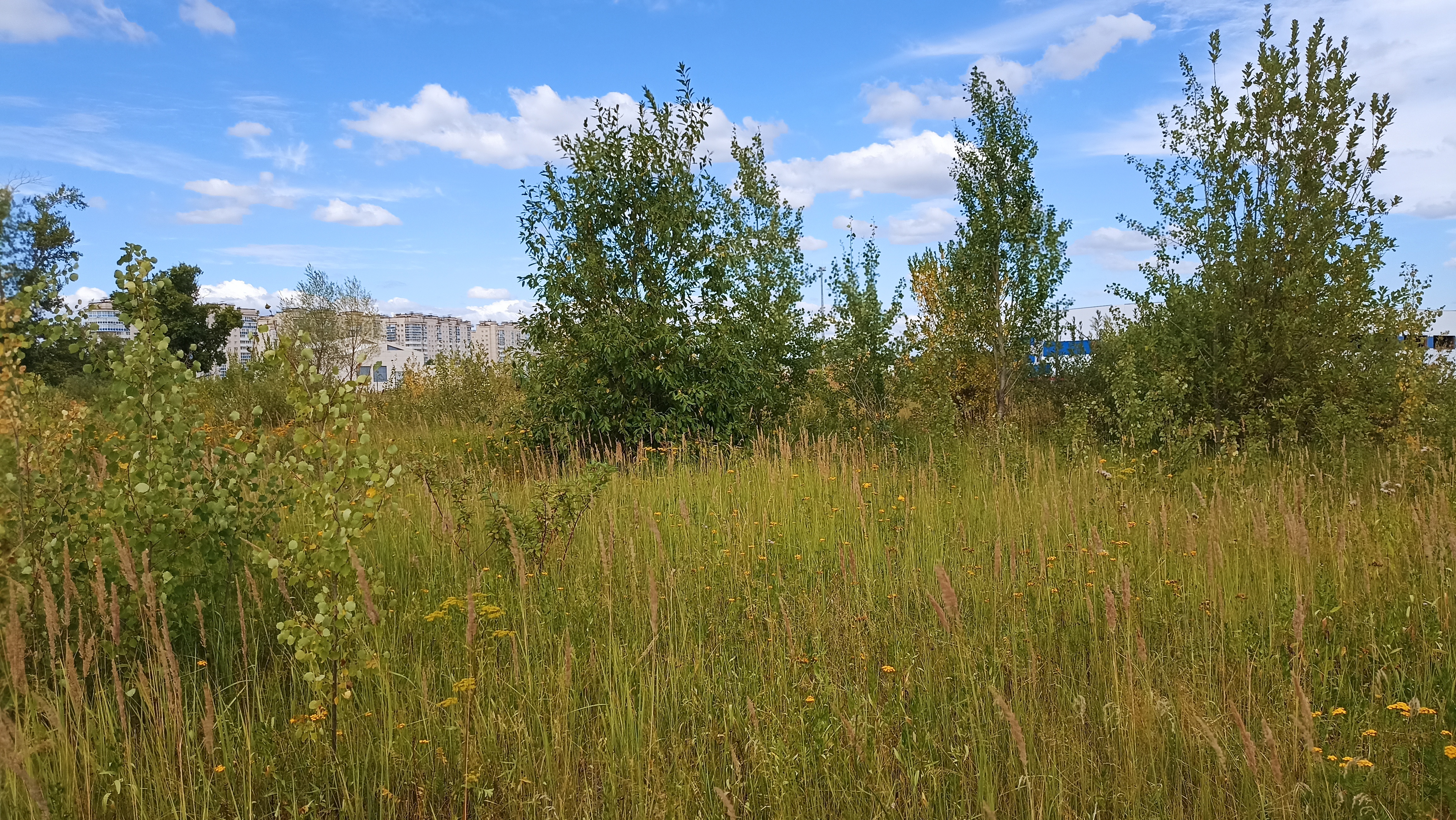 Земельный участок.Общий вид объекта.г. Москва, Внуковское шоссе, коммунальная зона_2.jpg