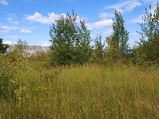 Земельный участок.Общий вид объекта.г. Москва, Внуковское шоссе, коммунальная зона_2.jpg