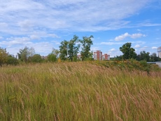 Земельный участок.Общий вид объекта.г. Москва, Внуковское шоссе, коммунальная зона_5.jpg