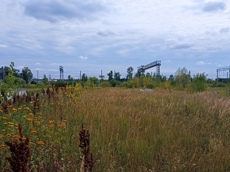 Земельный участок.Общий вид объекта.г. Москва, Внуковское шоссе, коммунальная зона_6.jpg