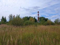 Земельный участок.Общий вид объекта.г. Москва, Внуковское шоссе, коммунальная зона_4.jpg