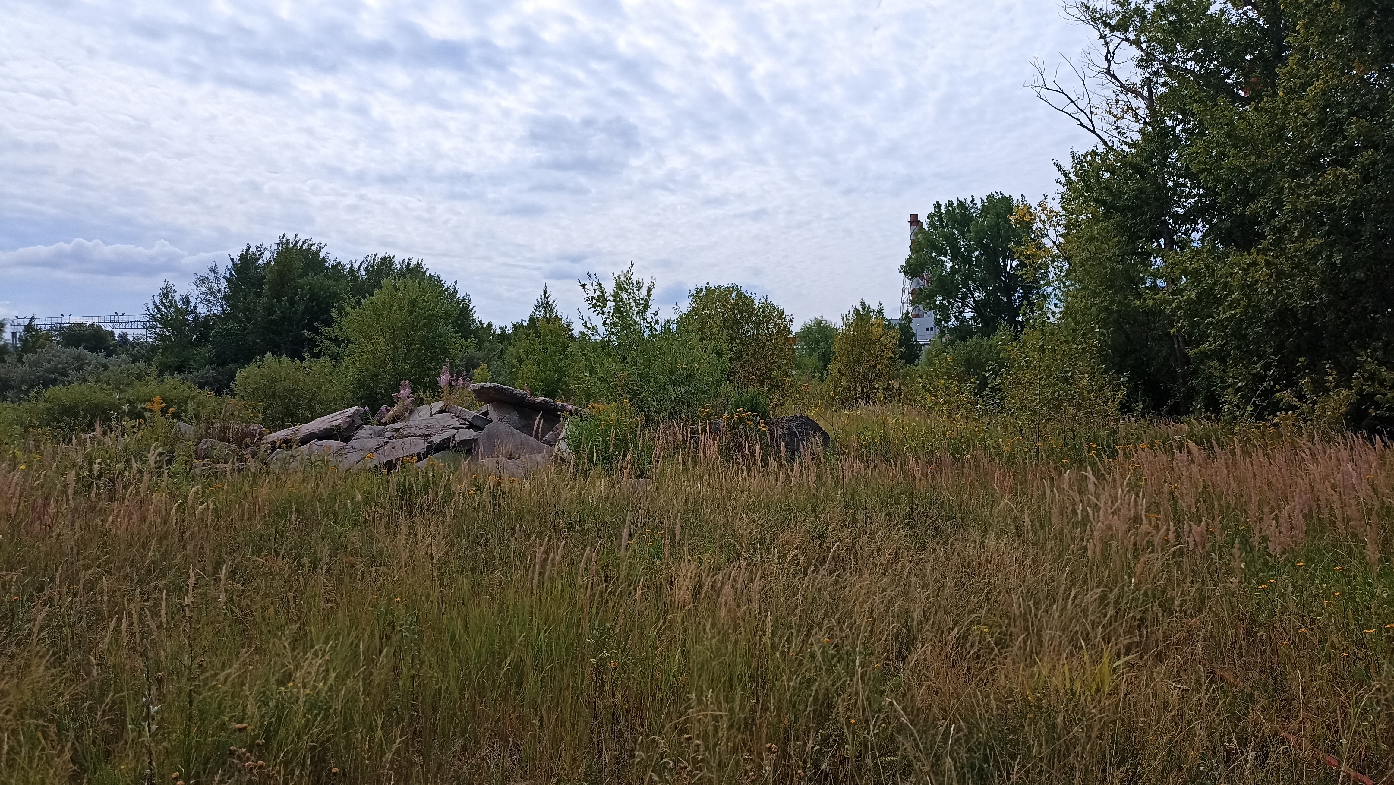 Земельный участок.Общий вид объекта.г. Москва, Внуковское шоссе, коммунальная зона_8.jpg