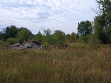 Земельный участок.Общий вид объекта.г. Москва, Внуковское шоссе, коммунальная зона_8.jpg