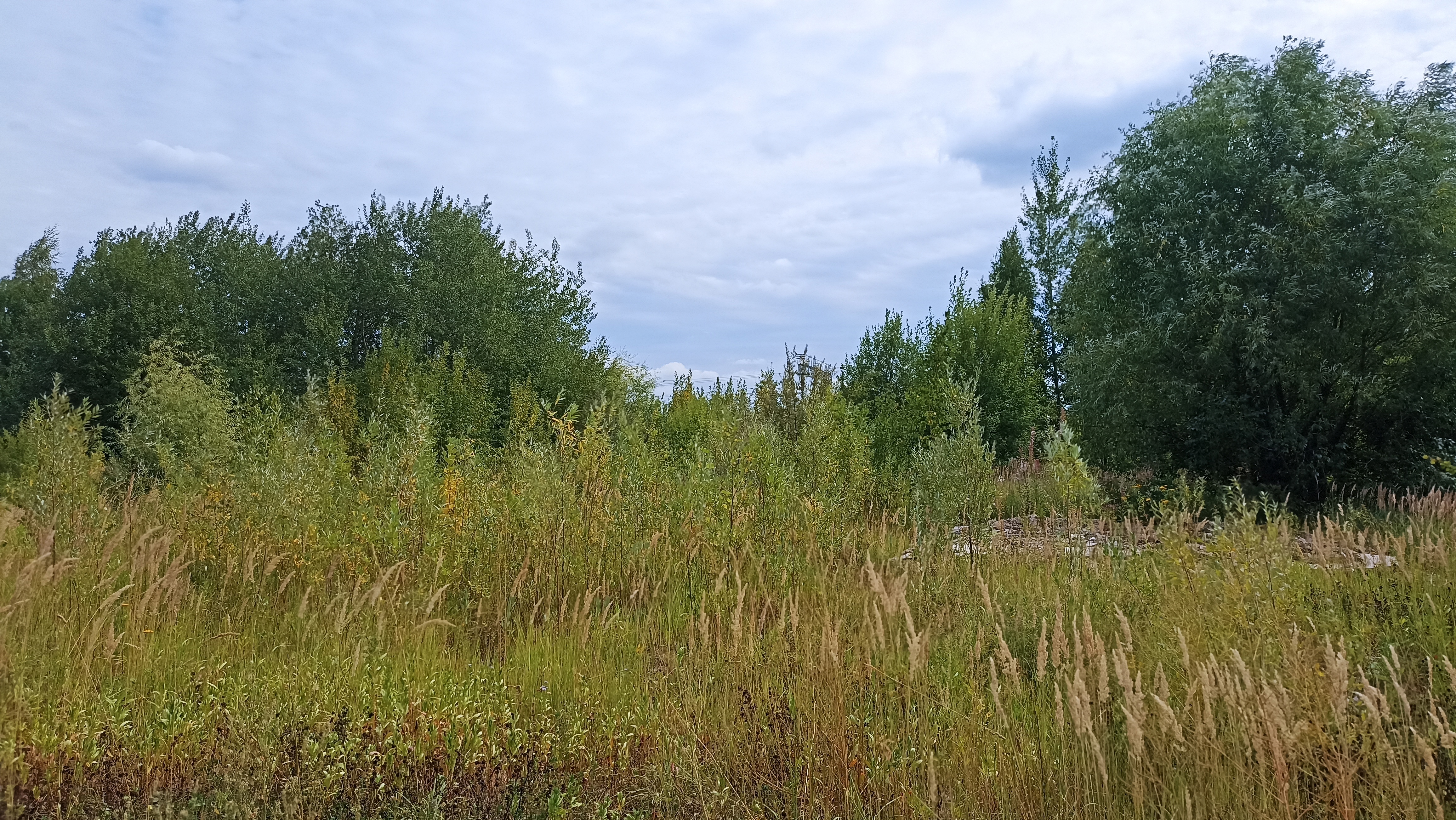 Земельный участок.Общий вид объекта.г. Москва, Внуковское шоссе, коммунальная зона_11.jpg