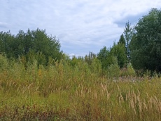 Земельный участок.Общий вид объекта.г. Москва, Внуковское шоссе, коммунальная зона_11.jpg