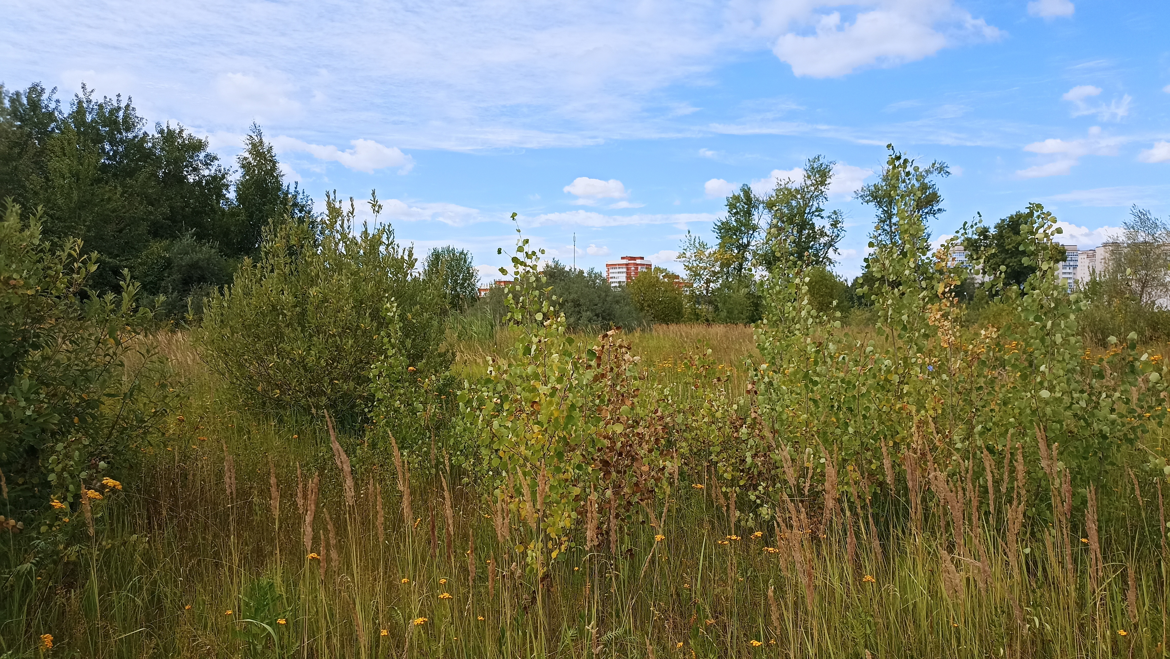 Земельный участок.Общий вид объекта.г. Москва, Внуковское шоссе, коммунальная зона.jpg