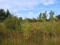 Земельный участок.Общий вид объекта.г. Москва, Внуковское шоссе, коммунальная зона.jpg