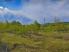 ГП16952803.Земельный участок.Общий вид объекта_2.jpg