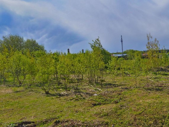ГП16952803.Земельный участок.Общий вид объекта.jpg