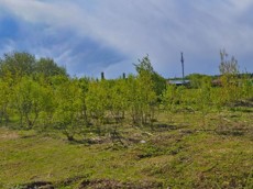 ГП16952803.Земельный участок.Общий вид объекта.jpg