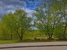 ГП16952803.Земельный участок.Общий вид объекта_4.jpg