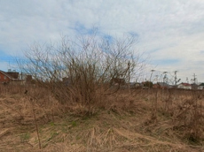 ГП16928452.Земельный участок.Общий вид объекта_3.jpg