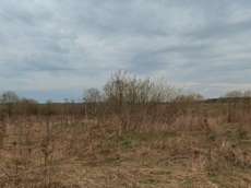 ГП16928452.Земельный участок.Общий вид объекта_2.jpg